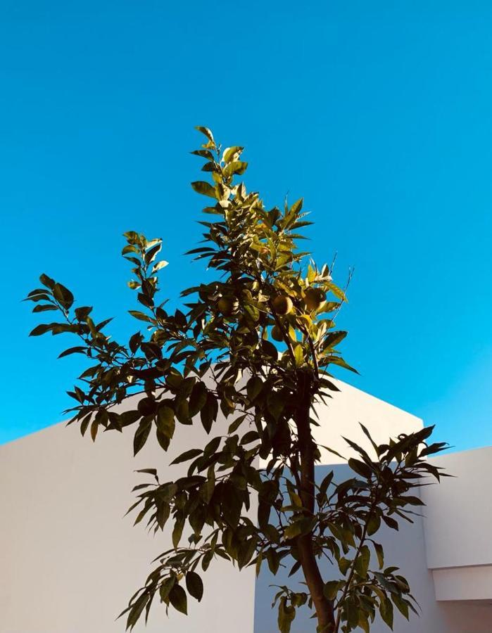 Azahar, Marbella Bed & Breakfast